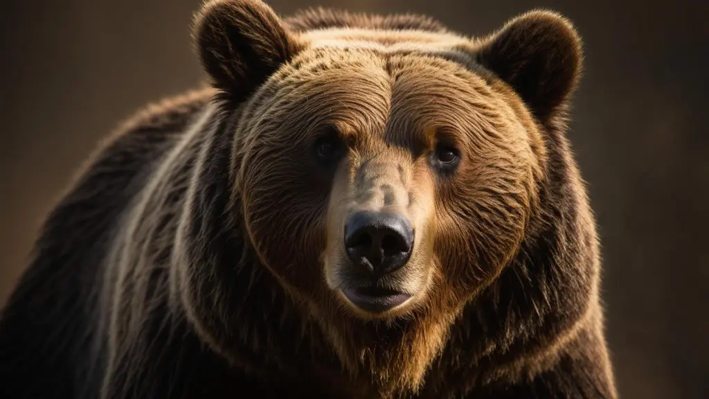 grizzly bear tattoo