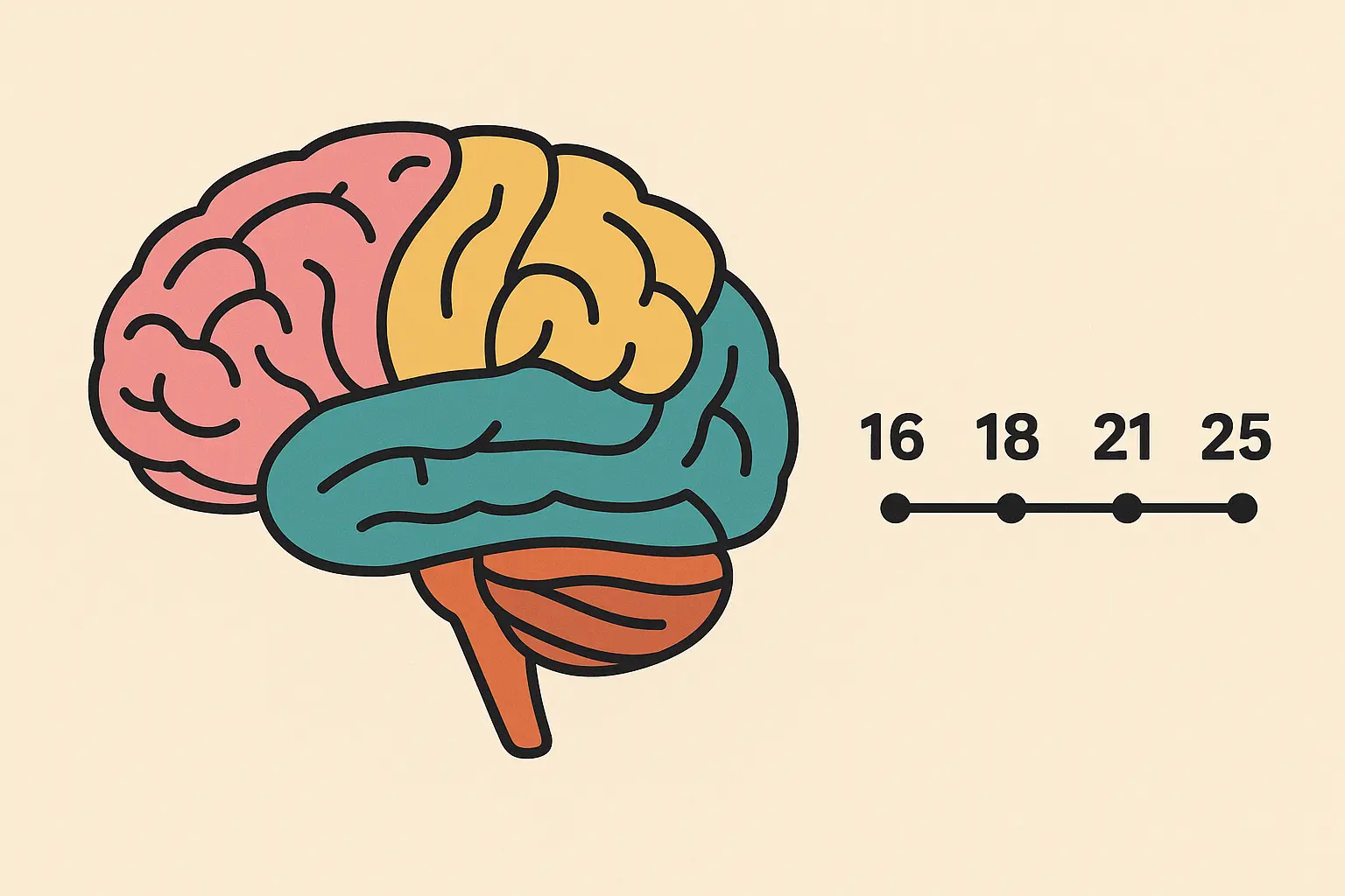 Brain development and tattoo decision making