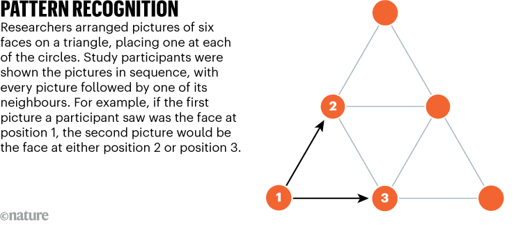 Brain pattern detection visualization